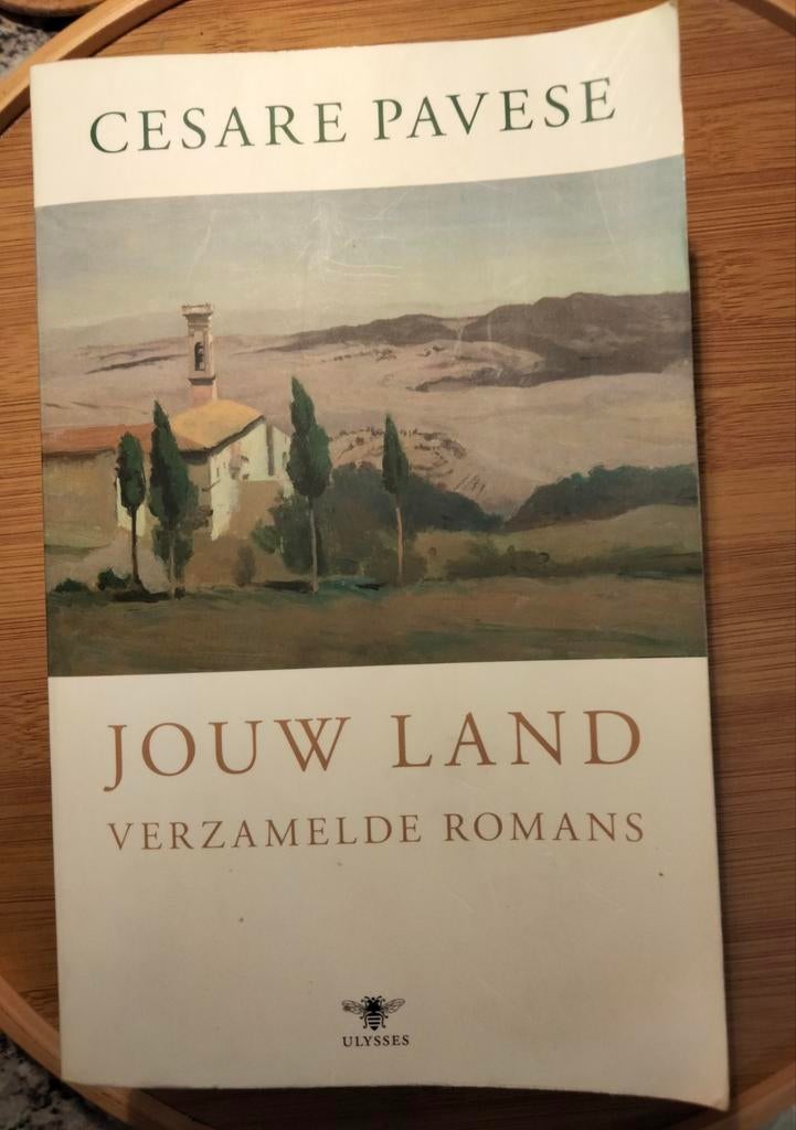 Cesare Pavese - Jouw Land: Verzamelde Romans, Ophalen of Verzenden, Gelezen, Cesare Pavese, Europa overig