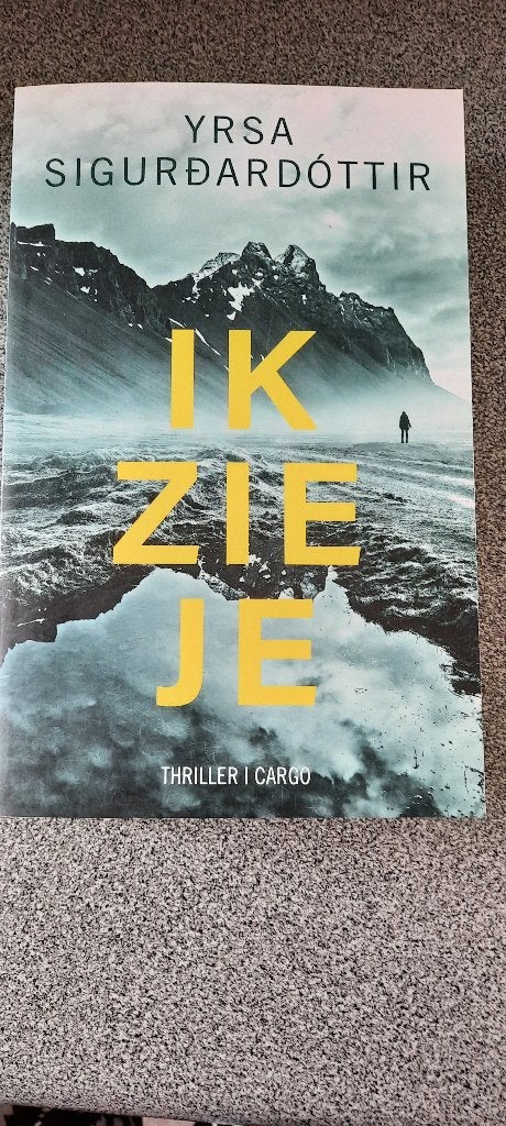 Yrsa Sigurdardottir - Ik zie je, Ophalen of Verzenden, Zo goed als nieuw