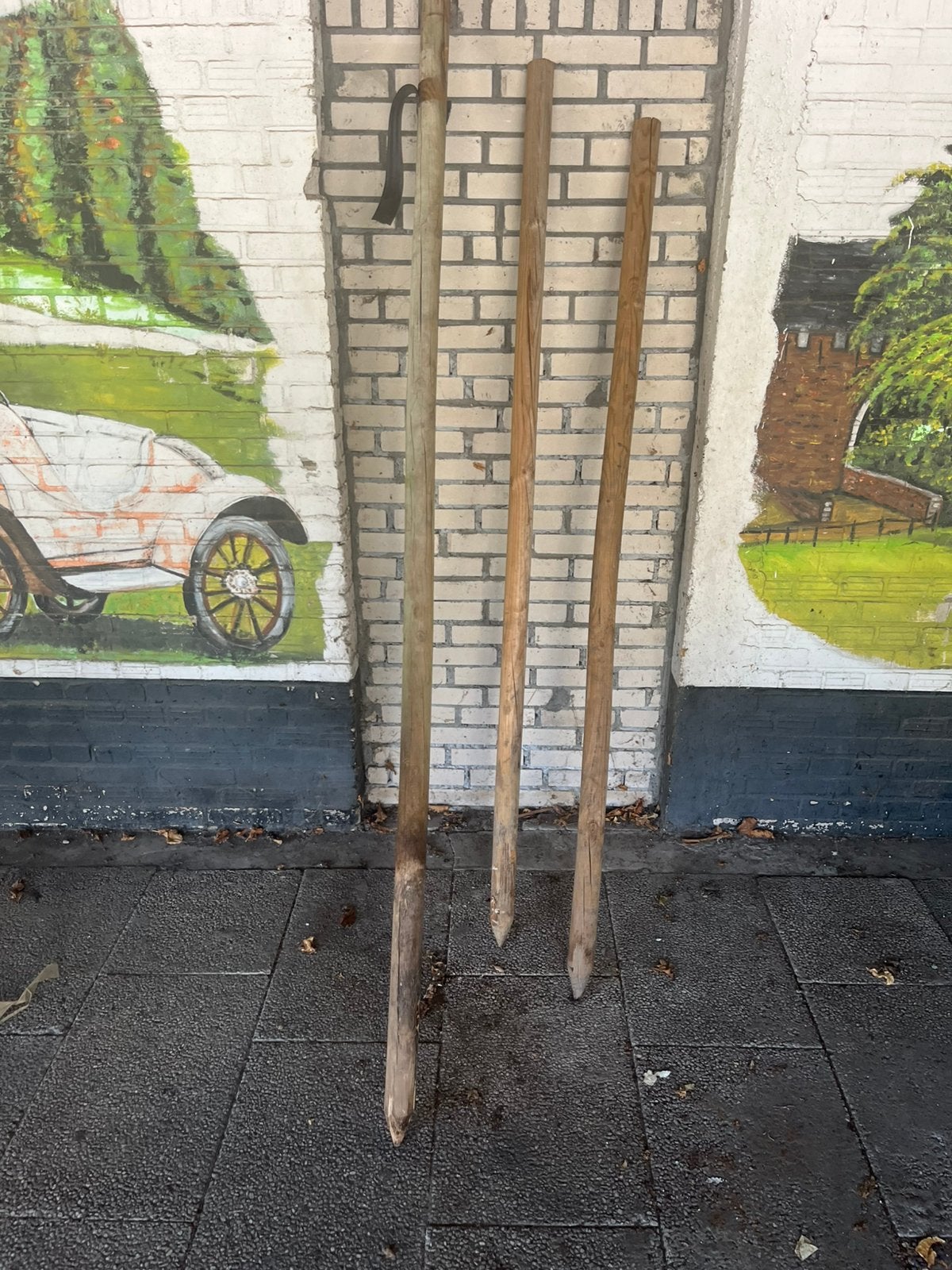 Gratis houten palen voor hekwerk of jonge bomen te planten, Ophalen, Zo goed als nieuw, 250 cm of meer, Palen
