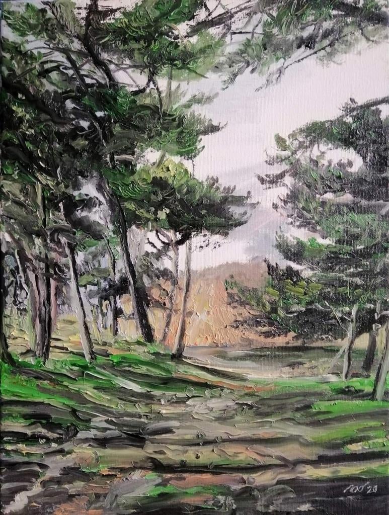 Schilderij: Ameland, Ophalen of Verzenden
