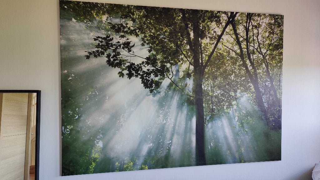 Canvas doek foto van zonnige bomen, Ophalen, Gebruikt, 125 cm of meer, Foto of Poster