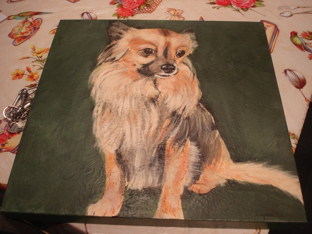 Schilderij op doek gesigneerd , lief hondje 50x50cm, Ophalen, Origineel werk, Doek, Dieren