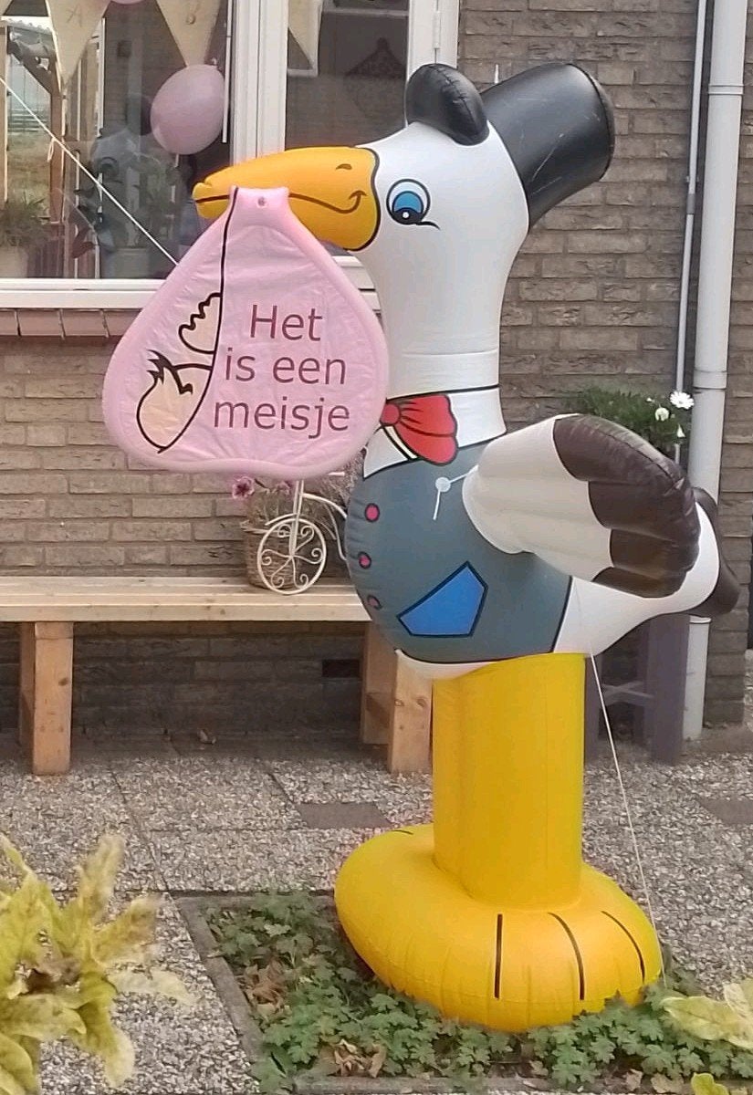 Ooievaar opblaasbaar jongen/meisje, Hobby en Vrije tijd, Ophalen of Verzenden, Geboorte of Huwelijk