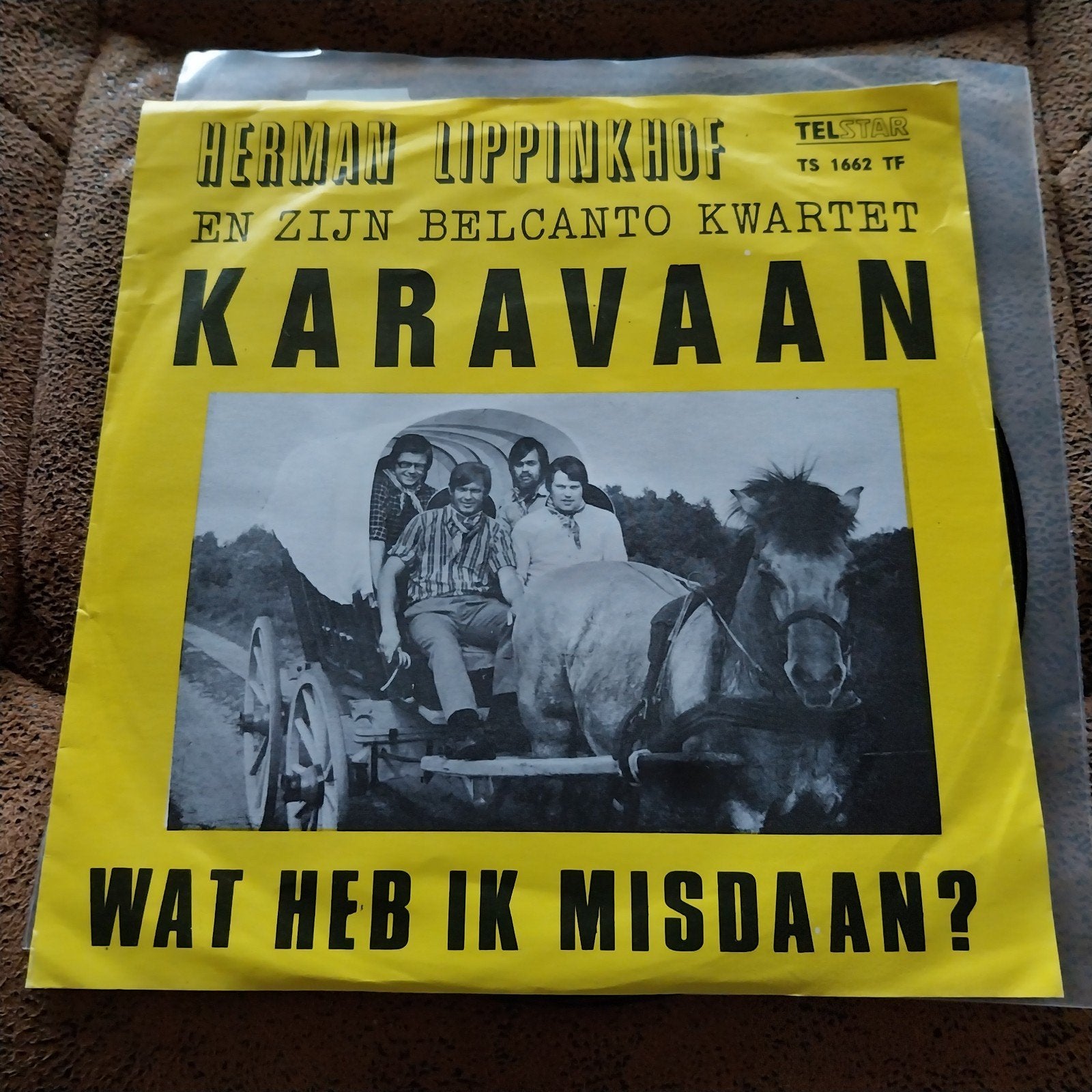Herman Lippinkhof - Karavaan / Wat Heb Ik Misdaan? (Vinyl), Cd's en Dvd's, Vinyl Singles, Gebruikt, 7 inch, EP, Fotohoes