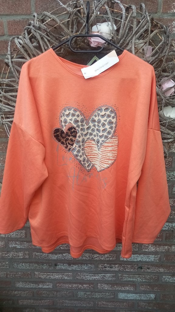 Dames trui, Ophalen, Nieuw, Maat 42/44 (L), Overige kleuren