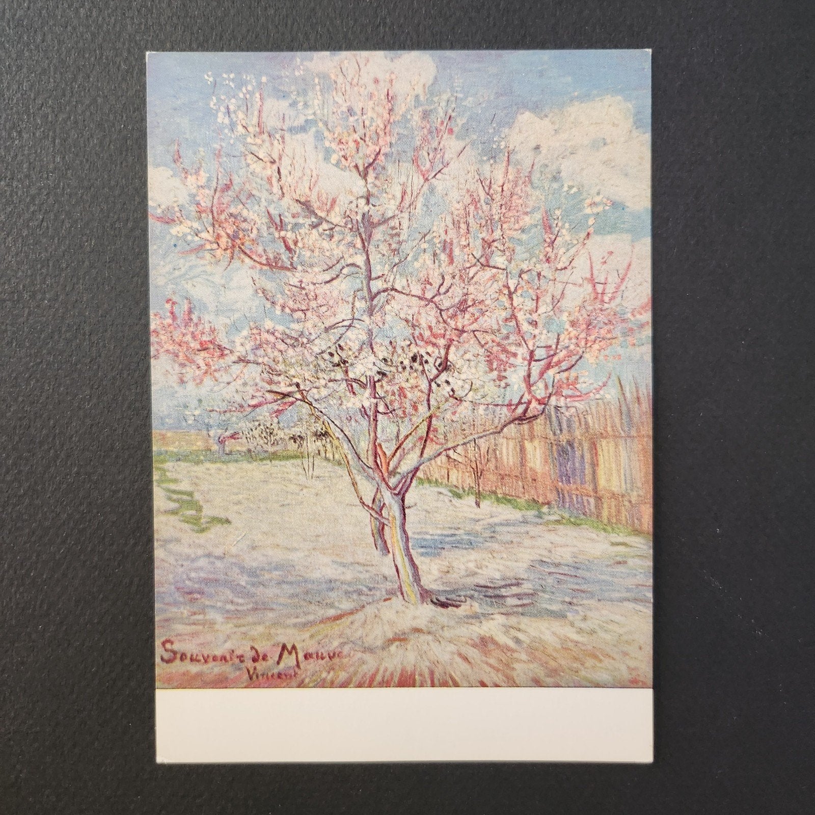 Kunstkaart Bloeiende boom 'Souvenir de Mauve' - Van Gogh, Verzenden, 1980 tot heden, Ongelopen, Cultuur en Media