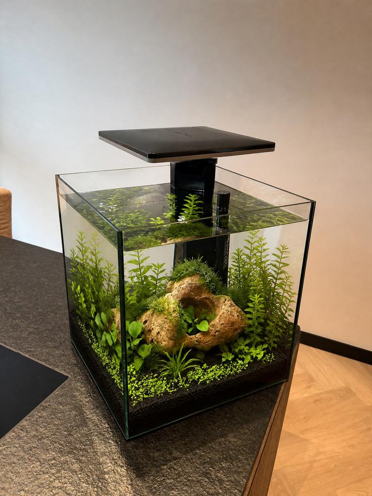 Superfish qubic 30 pro aquarium, Ophalen, Pomp, Zo goed als nieuw, Leeg aquarium
