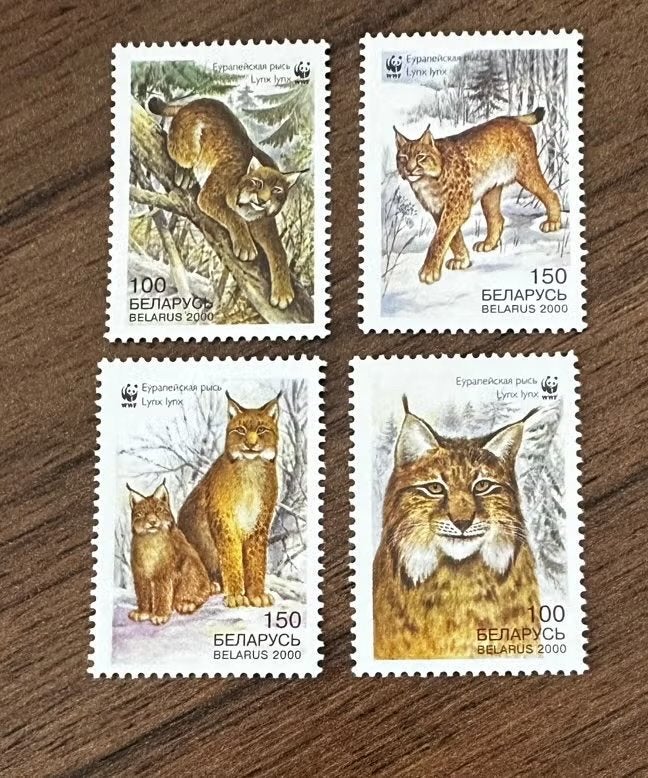 Wit-Rusland 2000 Dieren Postfris Postzegels Lynx, Ophalen of Verzenden, Overige landen, Postfris
