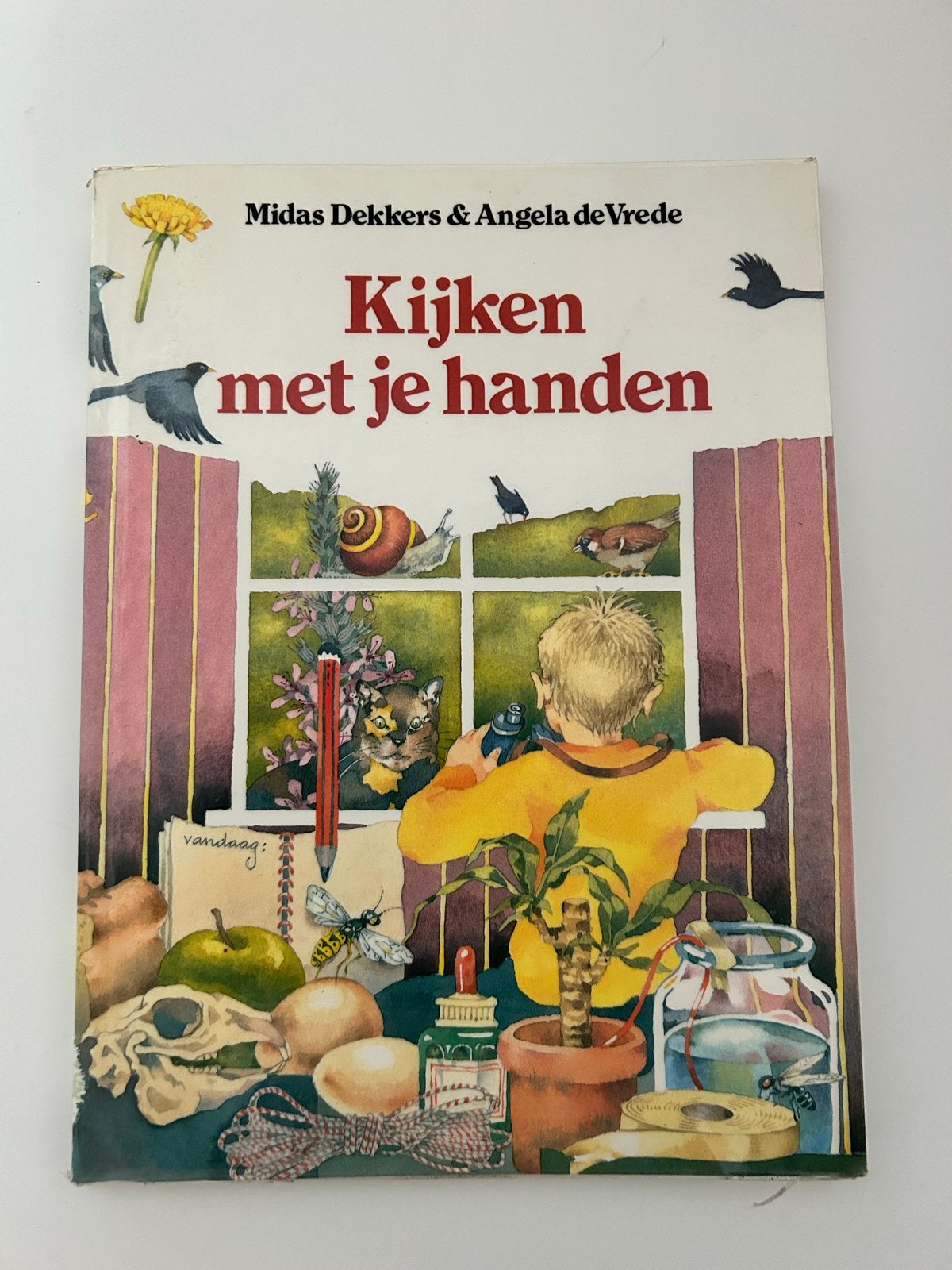 Kijken met je handen - Midas Dekkers & Angela de Vrede, Boeken, Ophalen, Gelezen, Non-fictie