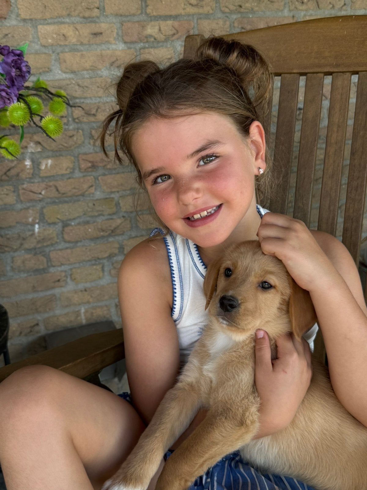 Labrador x nova scotia retriever, Dieren en Toebehoren, Nederland, Parvo, 8 tot 15 weken, Labrador retriever