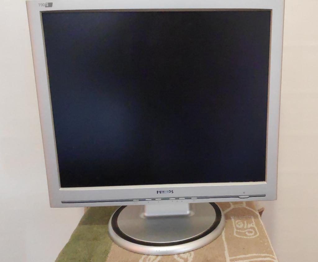Philips 190S6FS/00 19 inch monitor, Gebruikt, Phillips., Ophalen of Verzenden, VGA