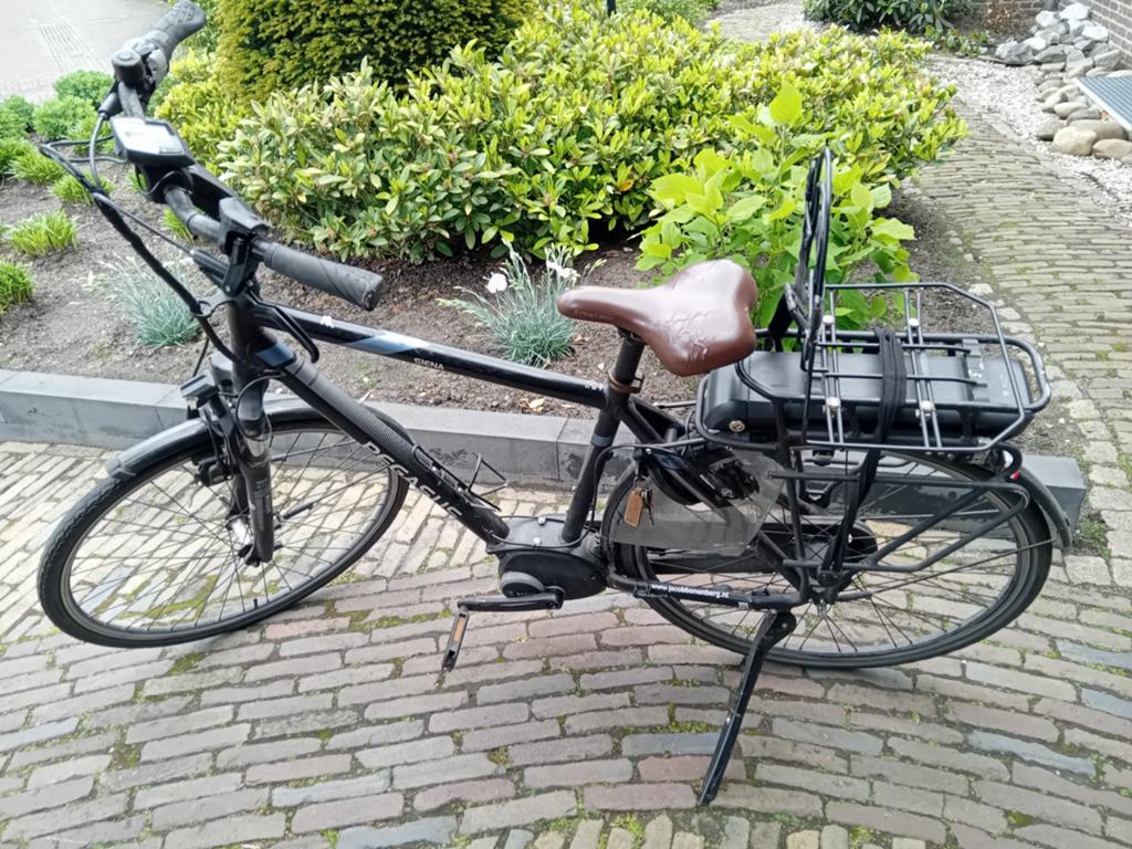 Pegasus Siena elektrische fiets, zwart, met Bosch motor, Gebruikt, 51 tot 55 cm, 50 km per accu of meer, Ophalen