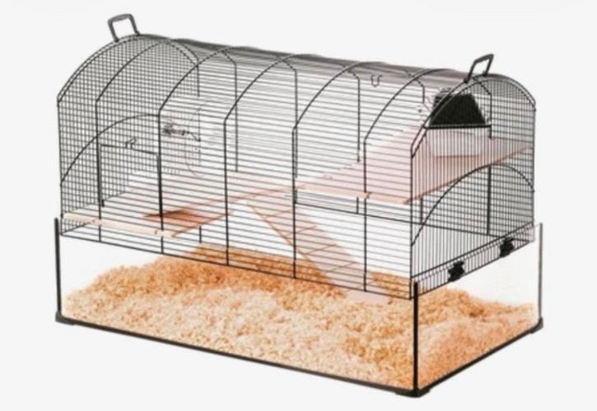 Zolux neo knaagdieren / hamster kooi met toebehoren, Dieren en Toebehoren, Knaagdieren en Konijnen | Hokken en Kooien, Kooi, Gebruikt