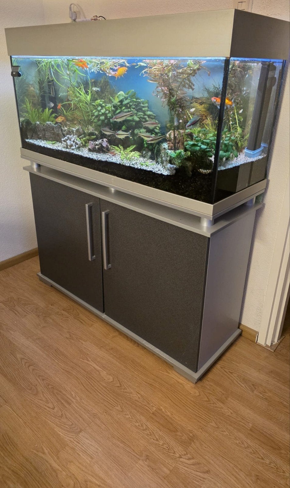 Aquarium, Ophalen, Inclusief vissen, Gebruikt, Gevuld zoetwateraquarium