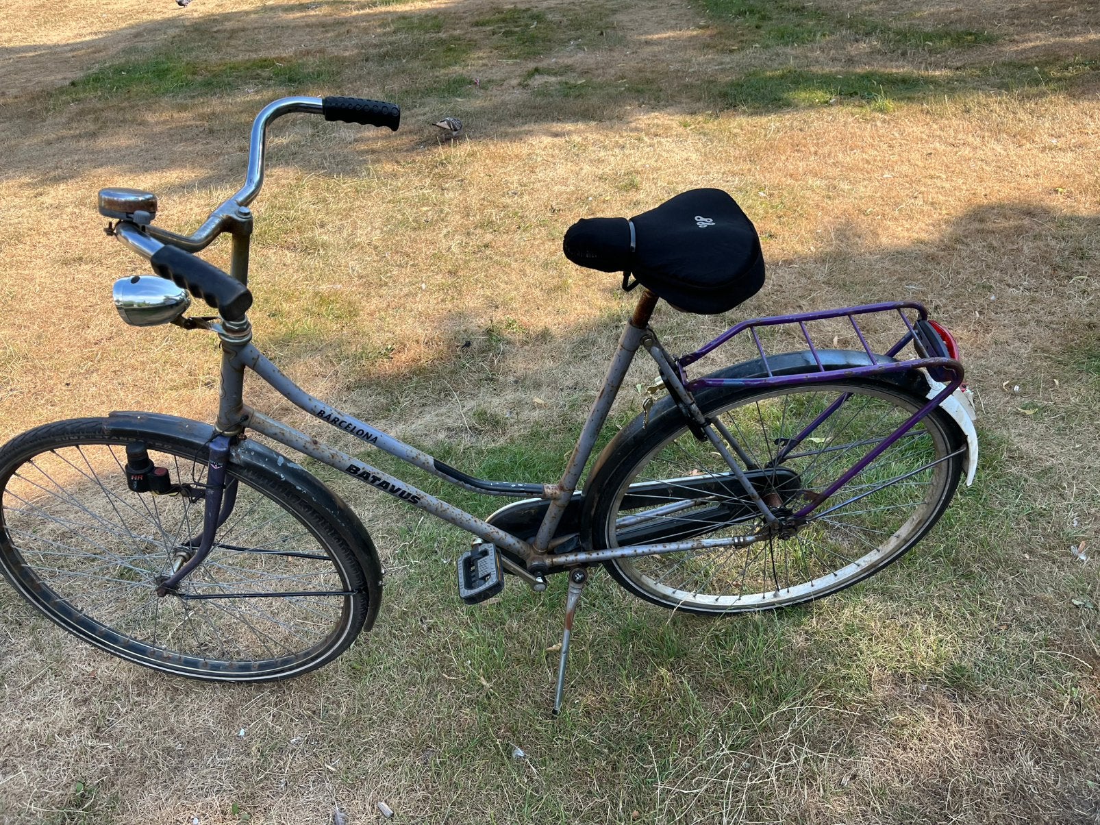 Dames fiets, Fietsen en Brommers, Fietsen | Dames | Omafietsen, Gebruikt, 56 cm of meer, Terugtraprem, Ophalen