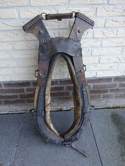 paardenhaam, Ophalen