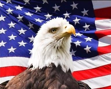 Diamond Painting nr 94 Adelaar/Amerika OP=OP, Ophalen, Nieuw, Knutselwerk