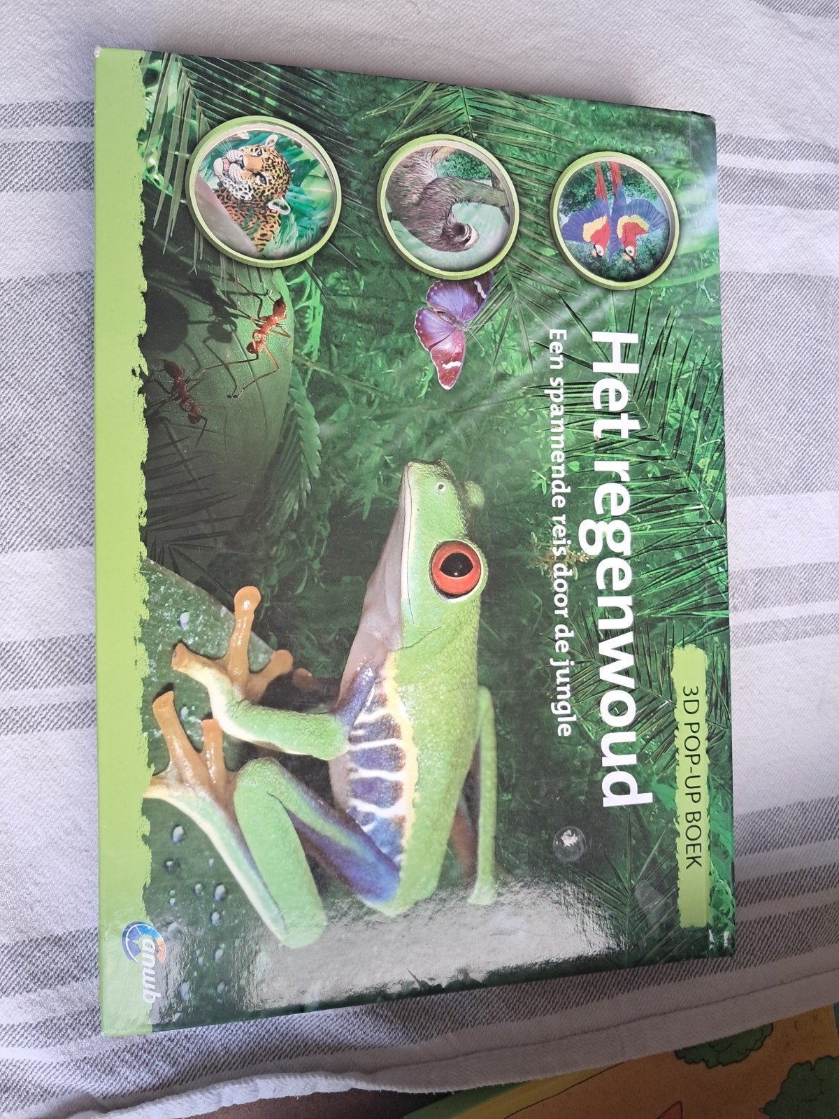 Het Regenwoud 3D Pop-Up Boek - Een spannende reis, Ophalen of Verzenden, Zo goed als nieuw, Natuur algemeen, Onbekend