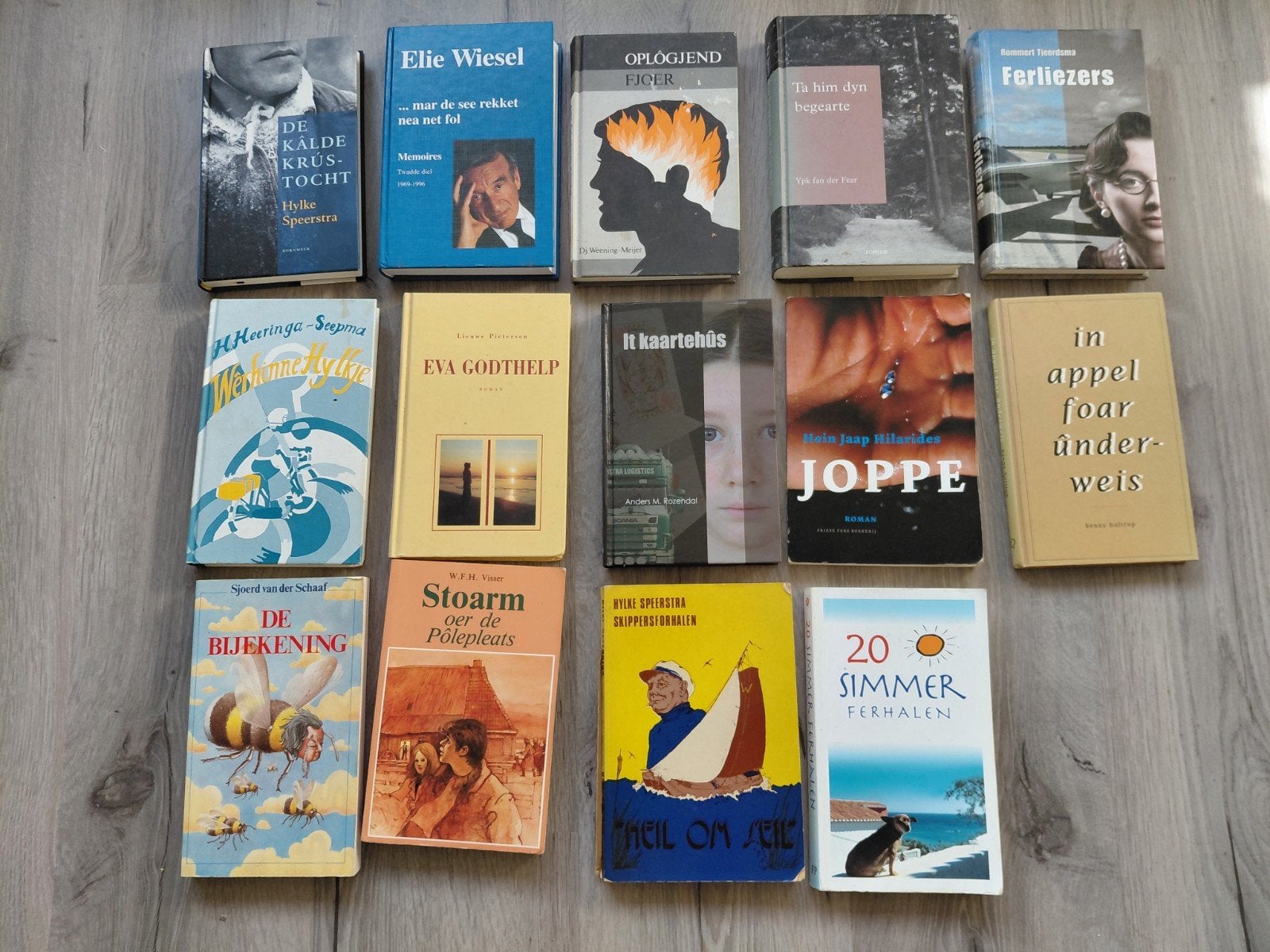 Fryske boeken, Ophalen of Verzenden, Gelezen