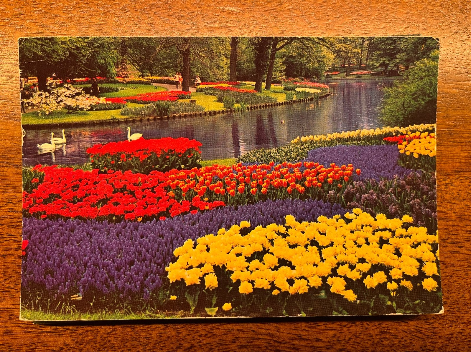 15 Onbeschreven ansichtkaarten Keukenhof - Bloemen & Tulpen, Verzamelen, Ophalen of Verzenden, 1980 tot heden, Ongelopen, Zuid-Holland