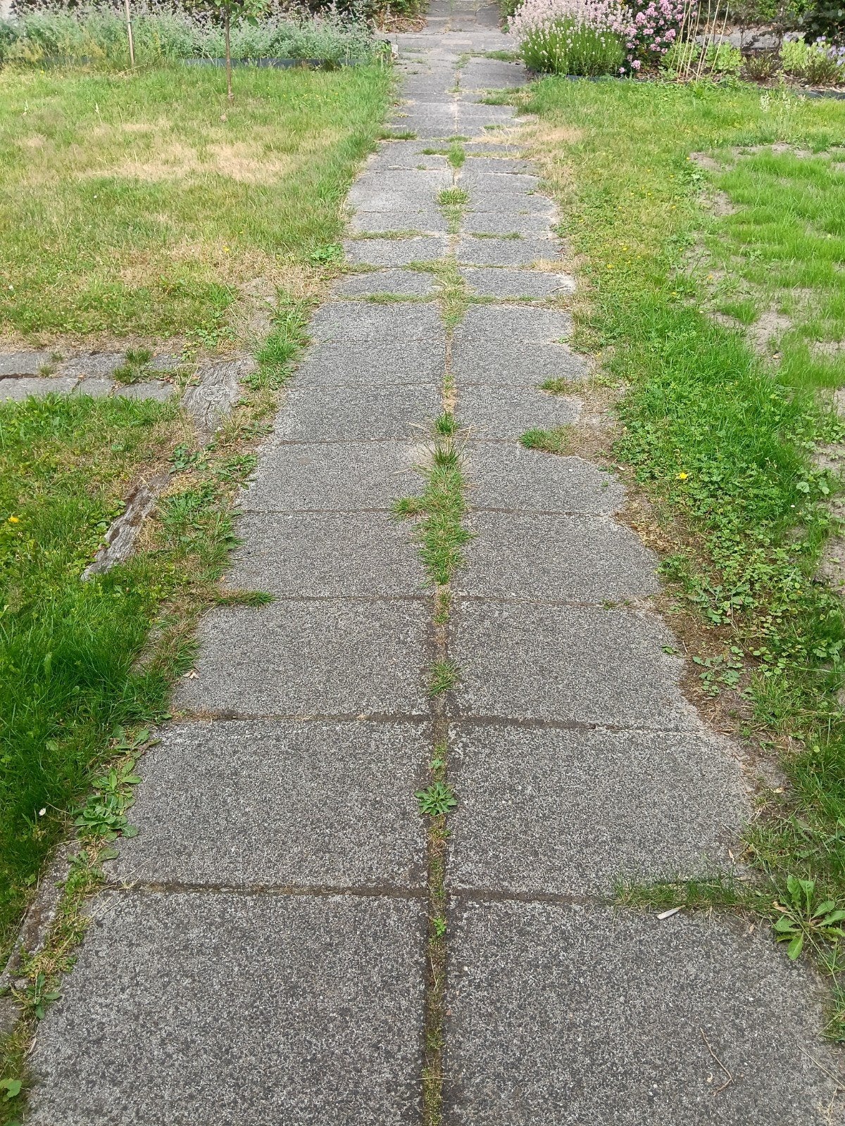 Gratis betontegels, Tuin en Terras, Tegels en Klinkers, Ophalen, Gebruikt, Overige typen, 10 m² of meer