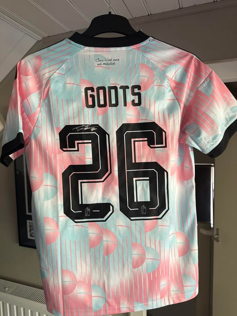Gesigneerd shirt Mika Godts, Ophalen of Verzenden, Zo goed als nieuw, Ajax, Shirt