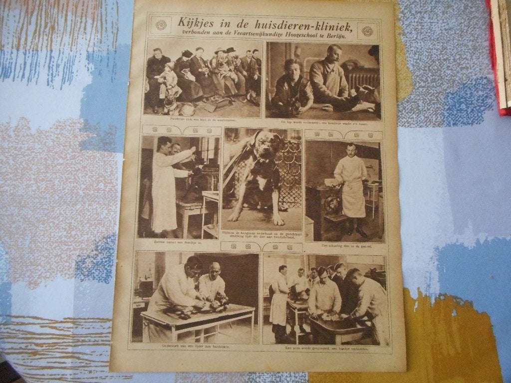 Berlijn. Huisdierenkliniek. 1924., Ophalen of Verzenden, 1920 tot 1940, Knipsel(s)