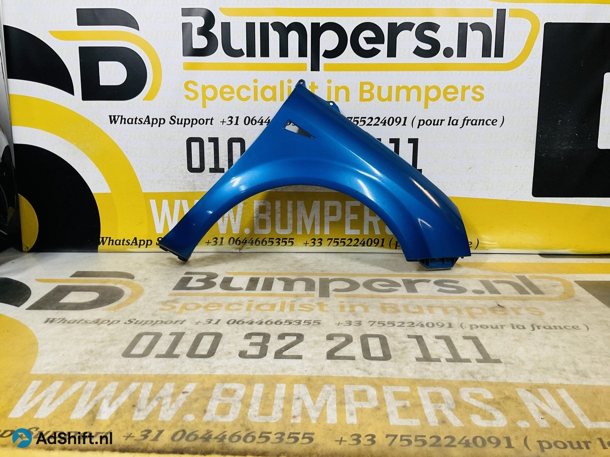 Zijscherm Renault Scenic 2 8200020569D 2003-2009 Scherm Rech