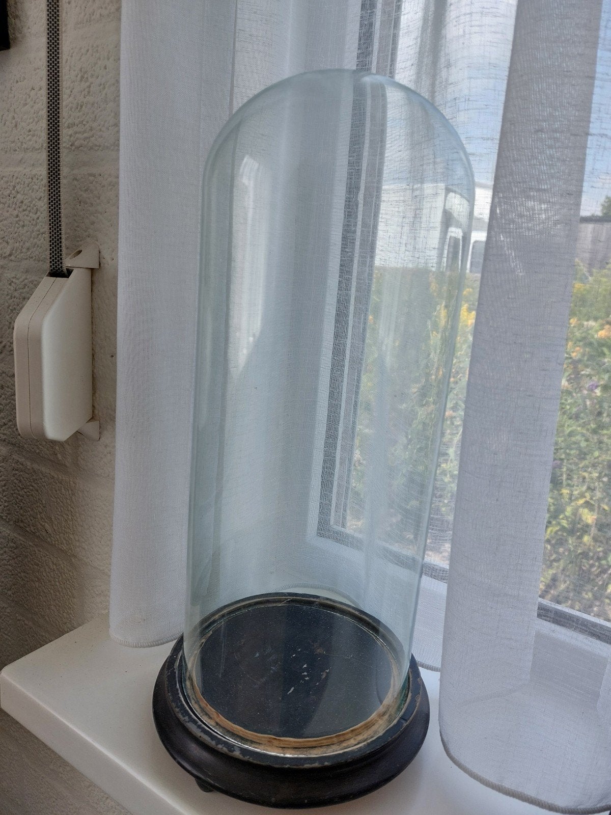 Oude glazen stolp met zwarte voetplaat, Ophalen