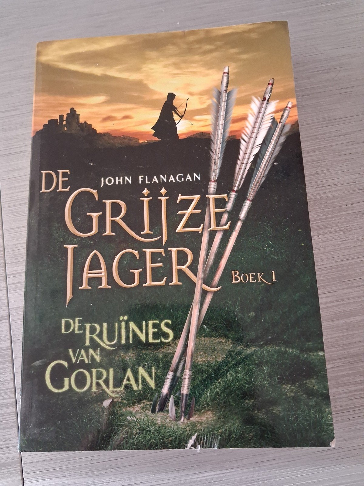 De Grijze Jager Boek 1: De Ruïnes van Gorlan, Ophalen of Verzenden