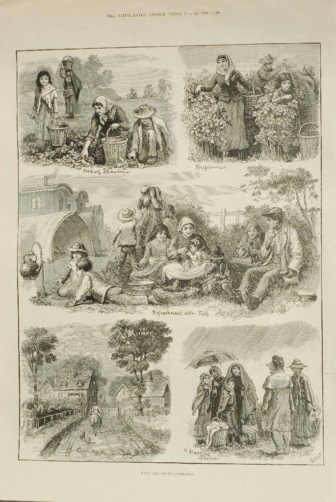Met de fruittelers - Originele antieke illustratie 19e eeuw, Verzenden, Zo goed als nieuw, Voor 1940, Prent