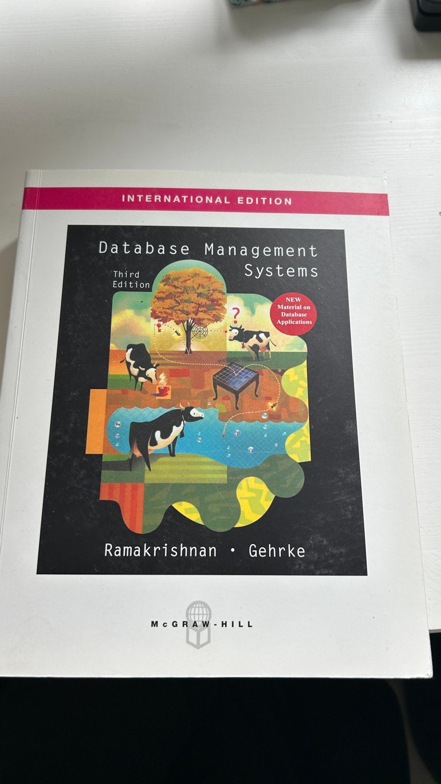 Database Management Systems - Ramakrishnan & Gehrke, Boeken, Studieboeken en Cursussen, Ophalen of Verzenden, Beta, Zo goed als nieuw
