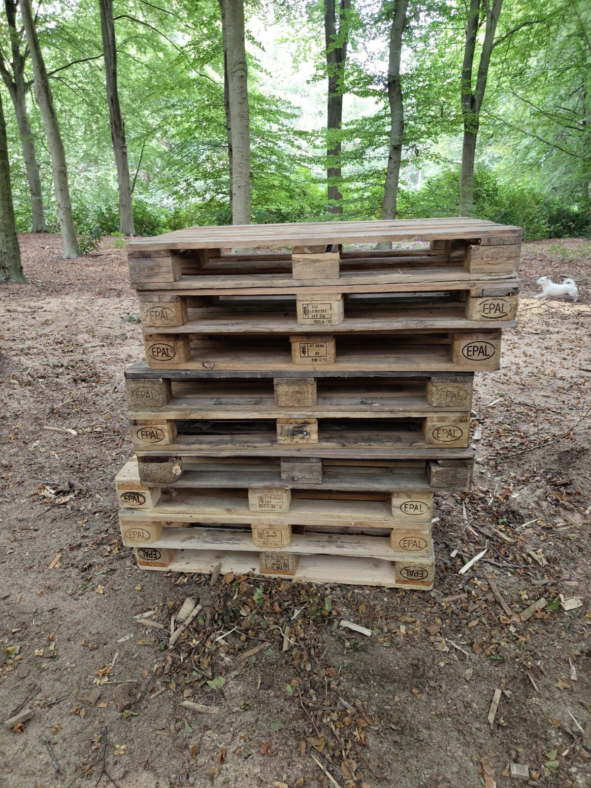 Gebruikte EPAL Pallets - Diverse Maten, Doe-het-zelf en Verbouw, Hout en Planken, Ophalen, Gebruikt, 50 mm of meer, Minder dan 200 cm