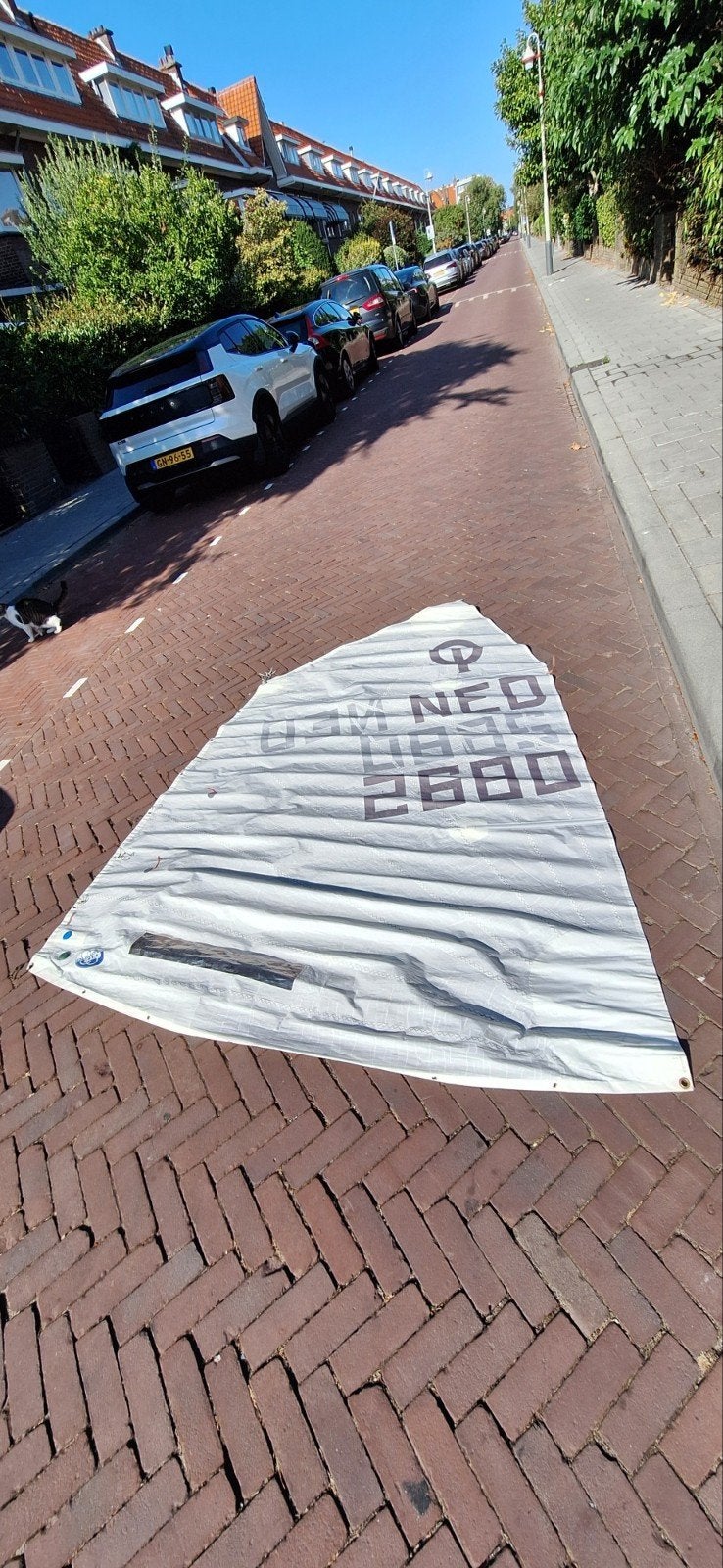optimist. zeil. 2 masten. spriet. giek, Ophalen, Gebruikt, Grootzeil, Minder dan 15 m²