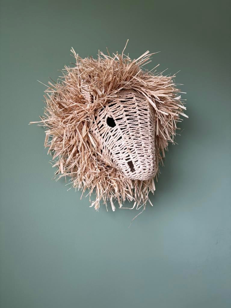 Rotan leeuwenkop, Ophalen of Verzenden, Zo goed als nieuw