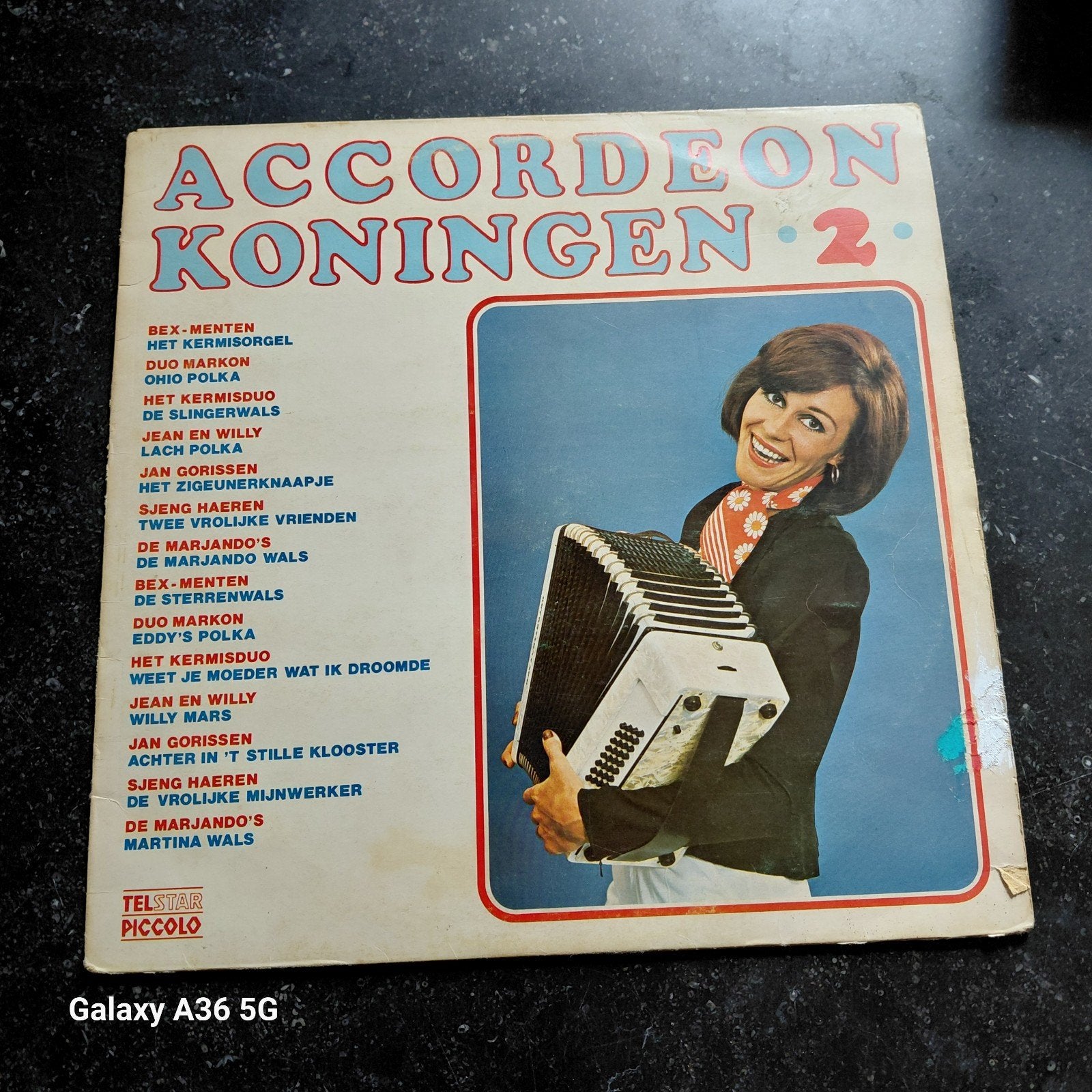 Accordeon Koningen 2 - Vinyl LP, Ophalen of Verzenden, Gebruikt, Streekmuziek