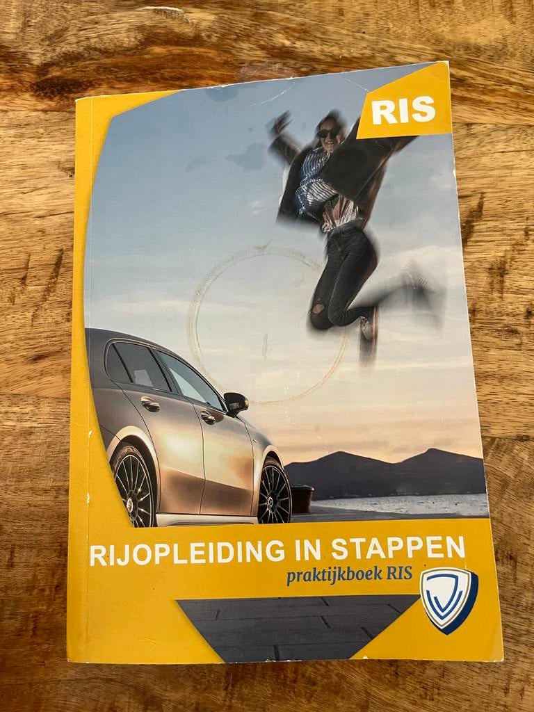 Rijopleiding in Stappen Praktijkboek RIS, Ophalen of Verzenden, Gelezen, Algemeen