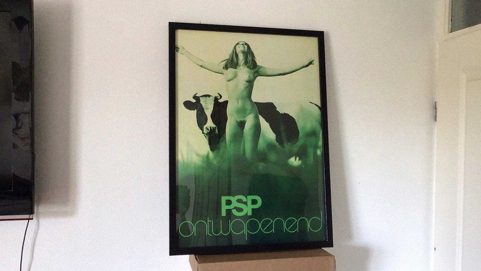 PSP Ontwapenend Poster - Ingelijst, Gebruikt, Ophalen of Verzenden, Foto of Poster, 75 – 100
