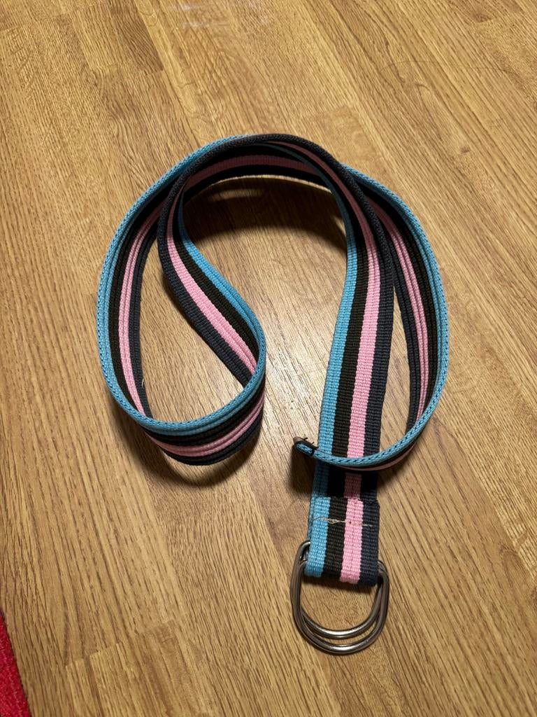 Gestreepte stoffen riem met D-ringen, Overige kleuren, Heupriem, Ophalen of Verzenden, Zo goed als nieuw
