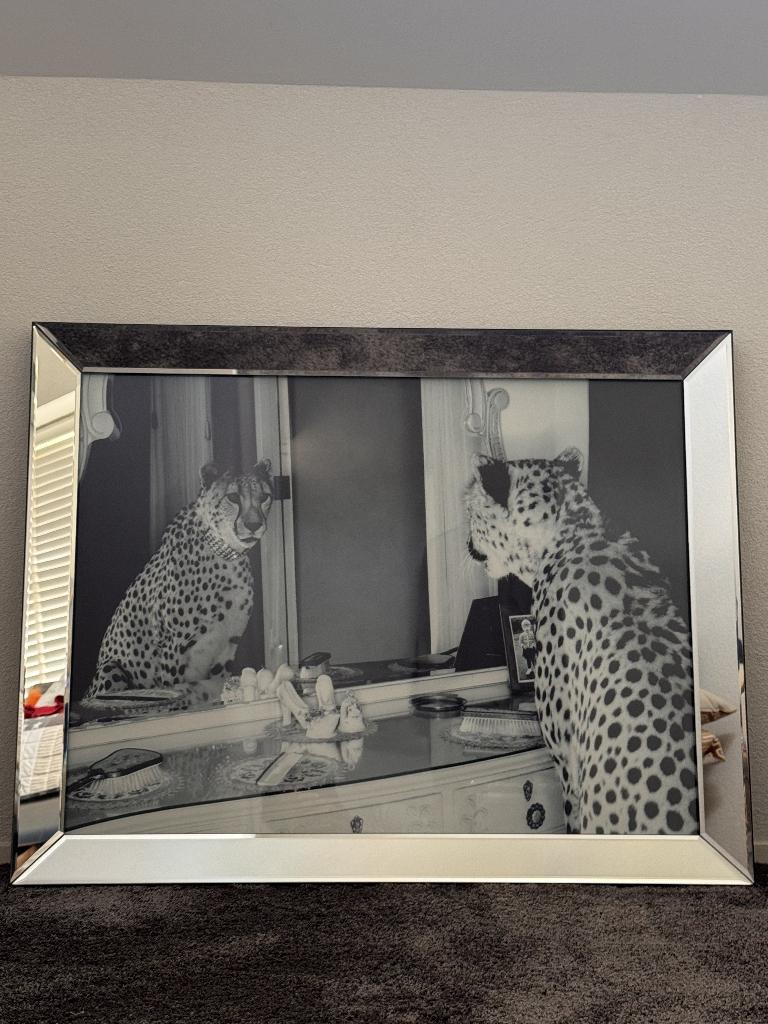 Foto schilderij met spiegellijst, Ophalen, 50 tot 75 cm, Nieuw, 75 tot 100 cm