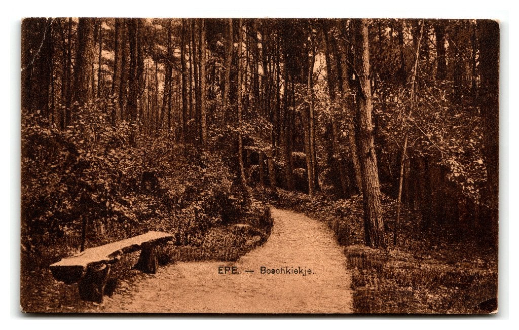 Epe, Boschkiekje - Nauta 16603, Ophalen of Verzenden, Voor 1920, Gelopen, Gelderland