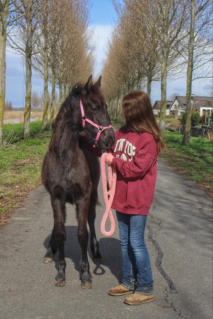 Verzorgpony gezocht/ bijrijder-verzorgster aangeboden, Vacatures, 33 - 40 uur, Vanaf 10 jaar, Overige vormen