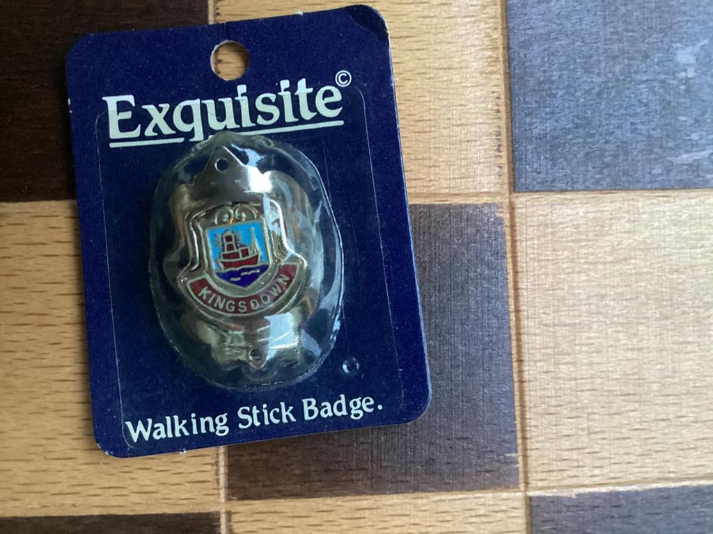 Scouting wandelstok embleem, Verzamelen, Scouting, Ophalen of Verzenden, Zo goed als nieuw, Embleem, Speld of Insigne