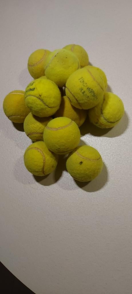 Gebruikte tennisballen, Ophalen of Verzenden, Gebruikt, Hondenballen