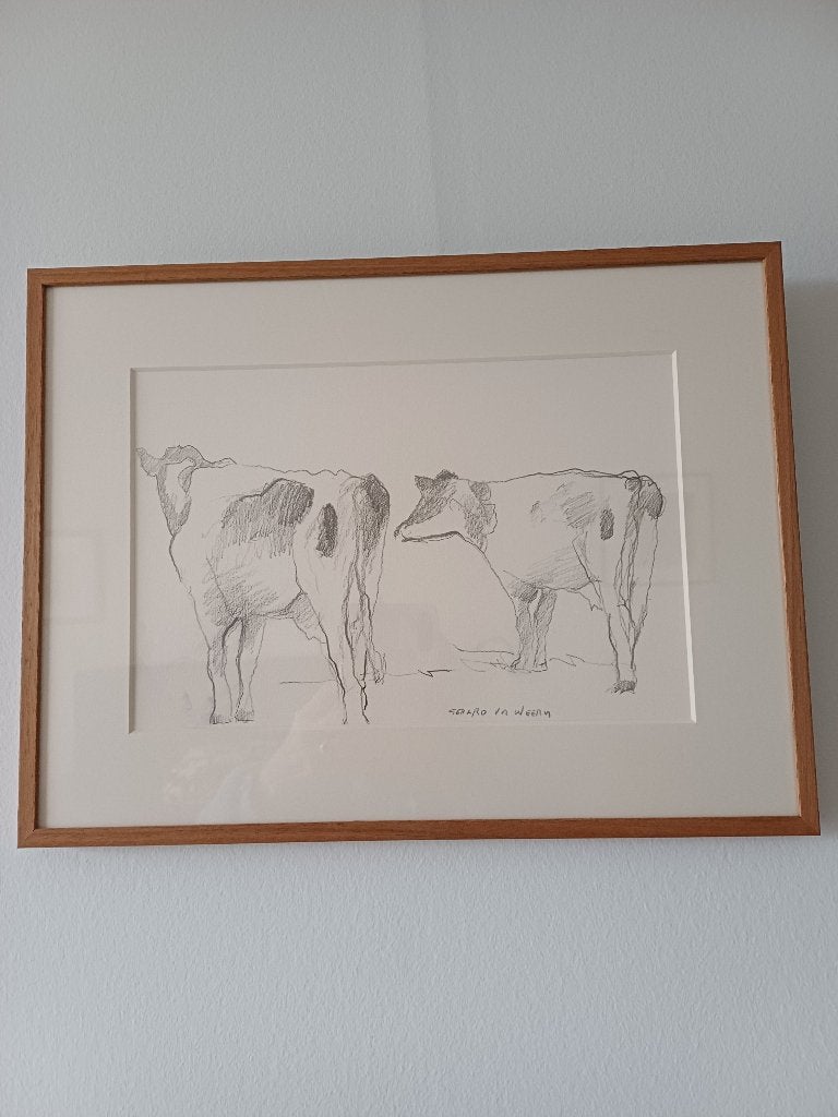 Gerard van de Weerd tekening Unica, Ophalen of Verzenden