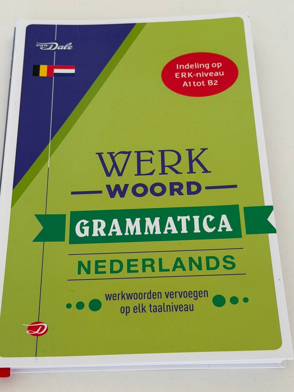 Van Dale Werkwoordgrammatica Nederlands, Boeken, Ophalen of Verzenden, Zo goed als nieuw, Robertha Huitema