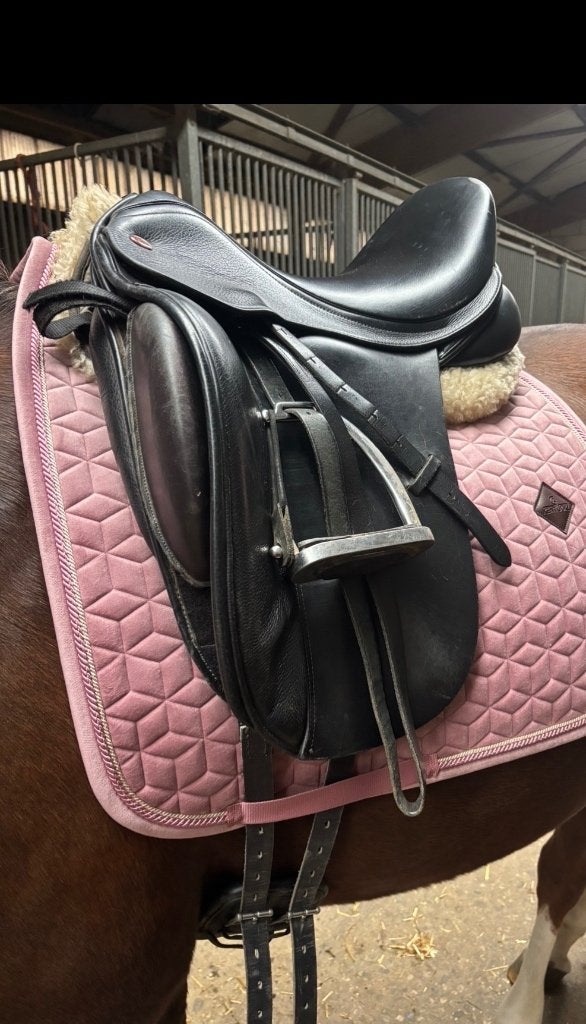 Kent en masters & barefoot cheyenne, L (17.5 inch), Gebruikt, Dressuur, Wijd