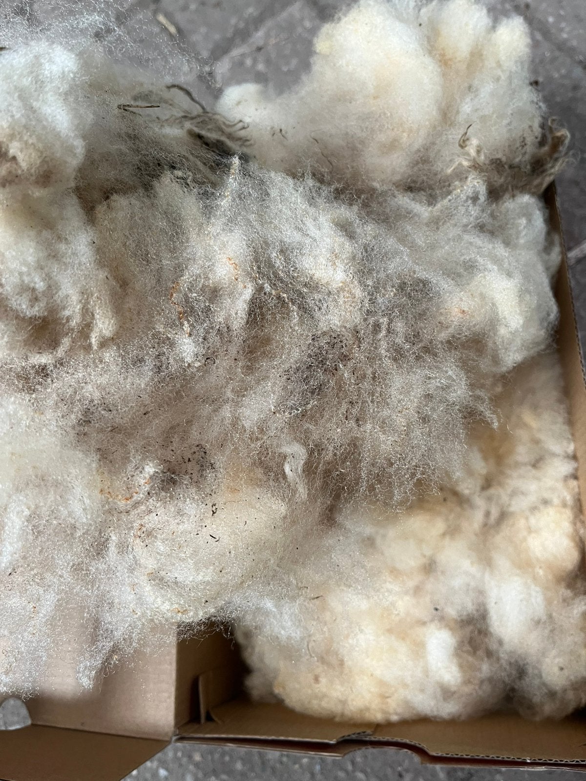 Ruwe Onbewerkte Witte Texelaar Schapenwol || 200 gram, Ophalen of Verzenden, Nieuw