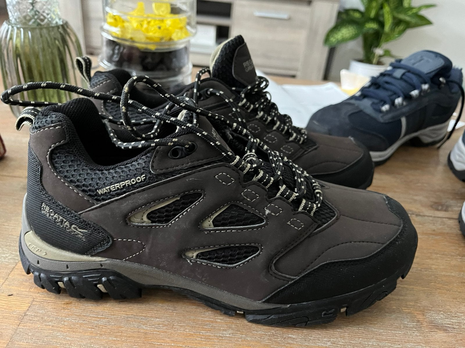 Regatta Great Outdoors Isotex Waterproof wandelschoenen, Ophalen of Verzenden, Nieuw, Schoenen
