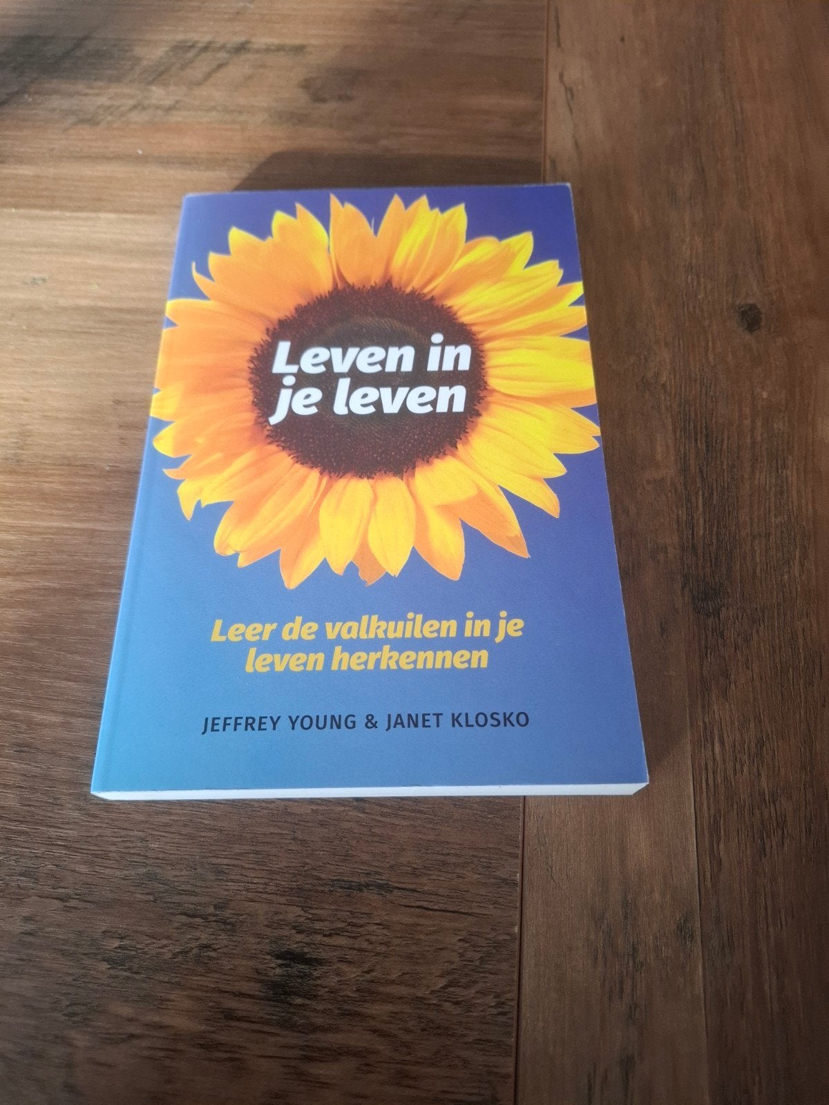 J. Young - Leven in je leven, Boeken, Ophalen of Verzenden, Zo goed als nieuw, J. Young; J. Klosko